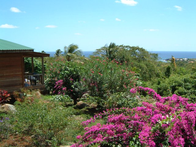 Big Sky Lodge mit Blick auf das Meer und den tropischen Regenwald