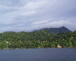 Regenwald und Westküste von Grenada