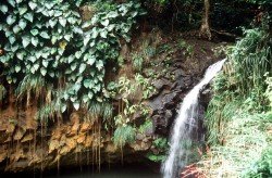 einer der zahlreichen Wasserfälle von Grenada